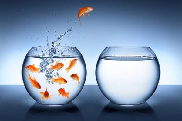 A (deep) contrarian view: Buy the basket of top holdings in US Hedge Funds